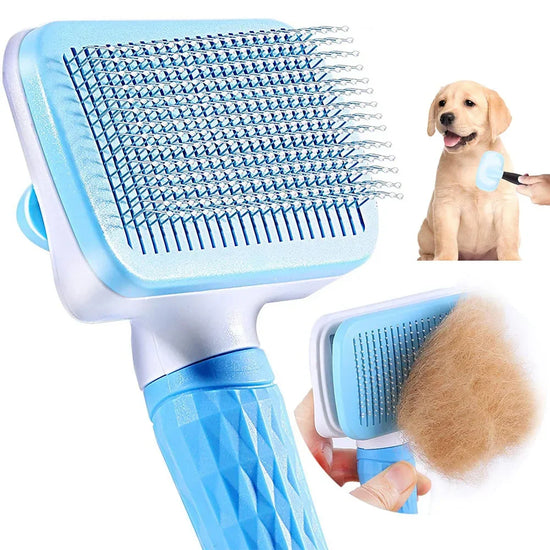 Grooming Brush