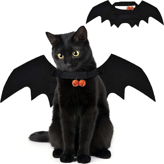 Bat Wings Pet Costume